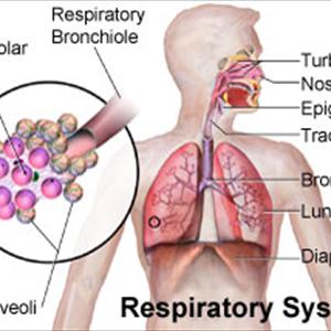 Bronchial Virus 