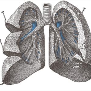 Bronchitis Treatment That Works 