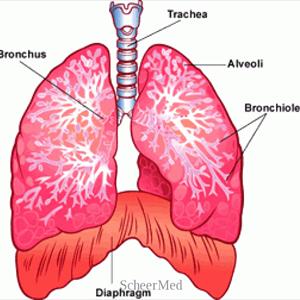 Frothy Sputum Cough - Exercise Benefits To Get Over Dyspnoea With Regard To COPD Sufferers