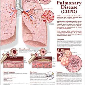 Bronovil And Sinus Infection - Your Kids And Bronchitis