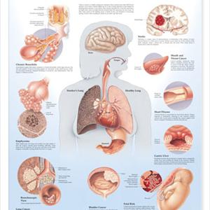 Cough With Metallic Tasting Phlegm - Smoking Side Effects The Not Just Bad For You